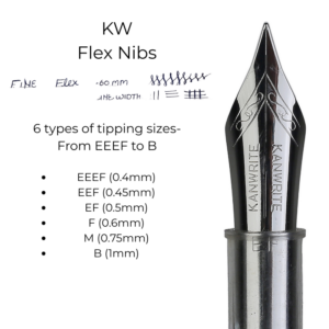 #6 Steel Flex Nib Units
