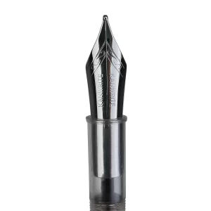 Broad Flex Steel Nib Unit #6